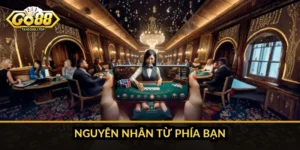 Nguyên nhân từ phía bạn